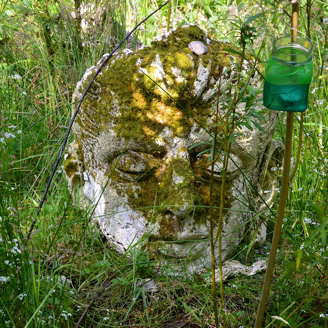 Mossy Buddha head and a latern